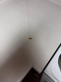 Burn marks on the counter