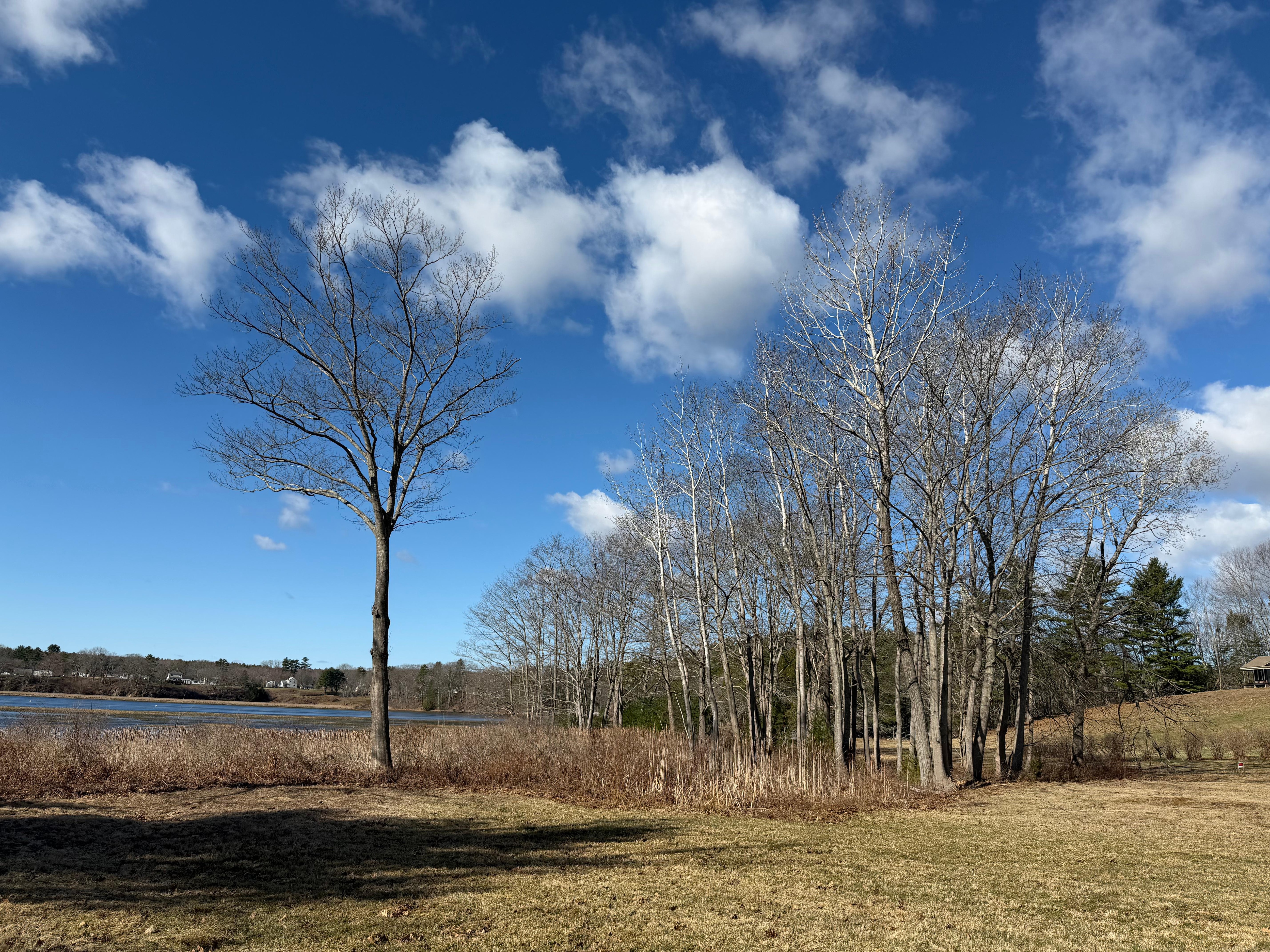 Looking in the opposite direction toward the Saco River. Beautiful view even in early April.