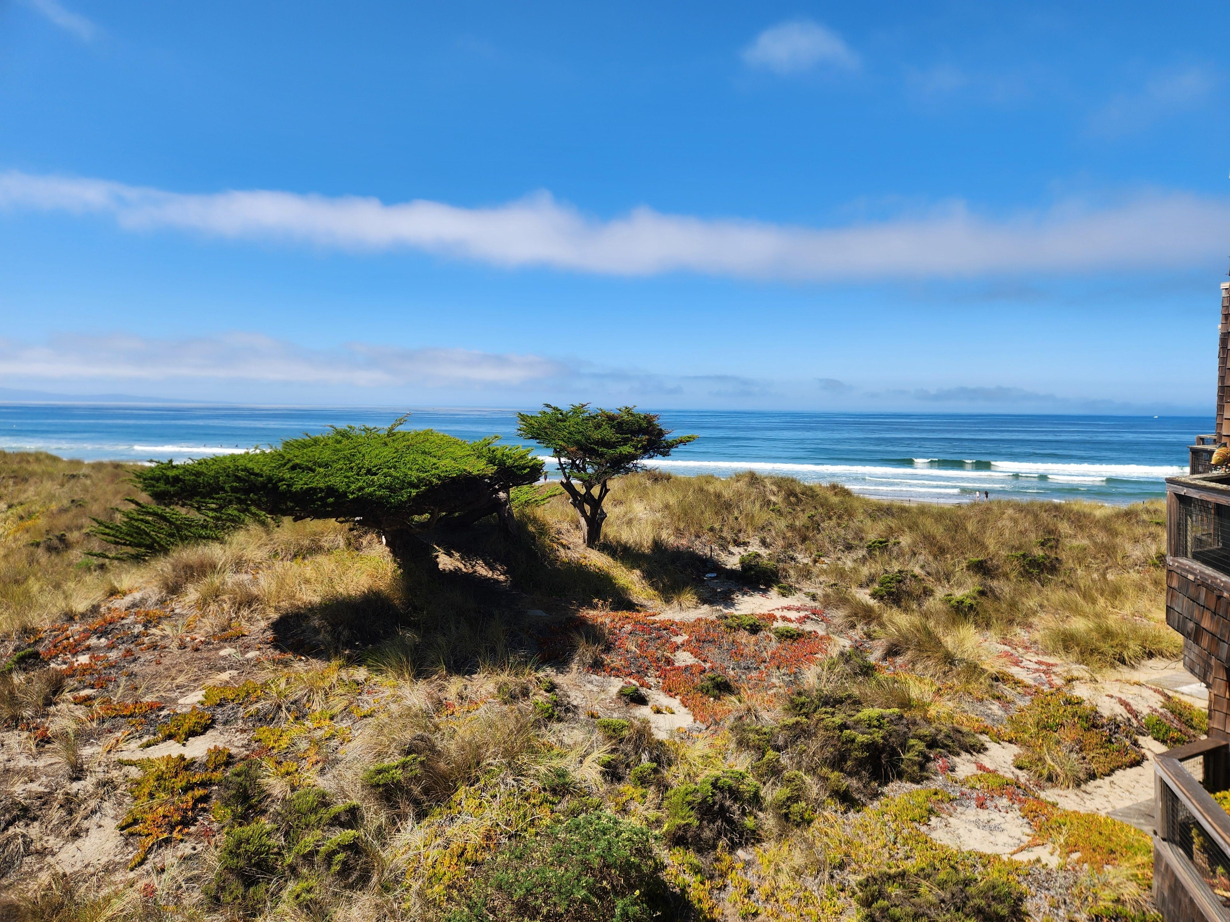 View from the balcony while enjoying coffee in the morning. 