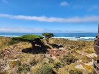 View from the balcony while enjoying coffee in the morning.