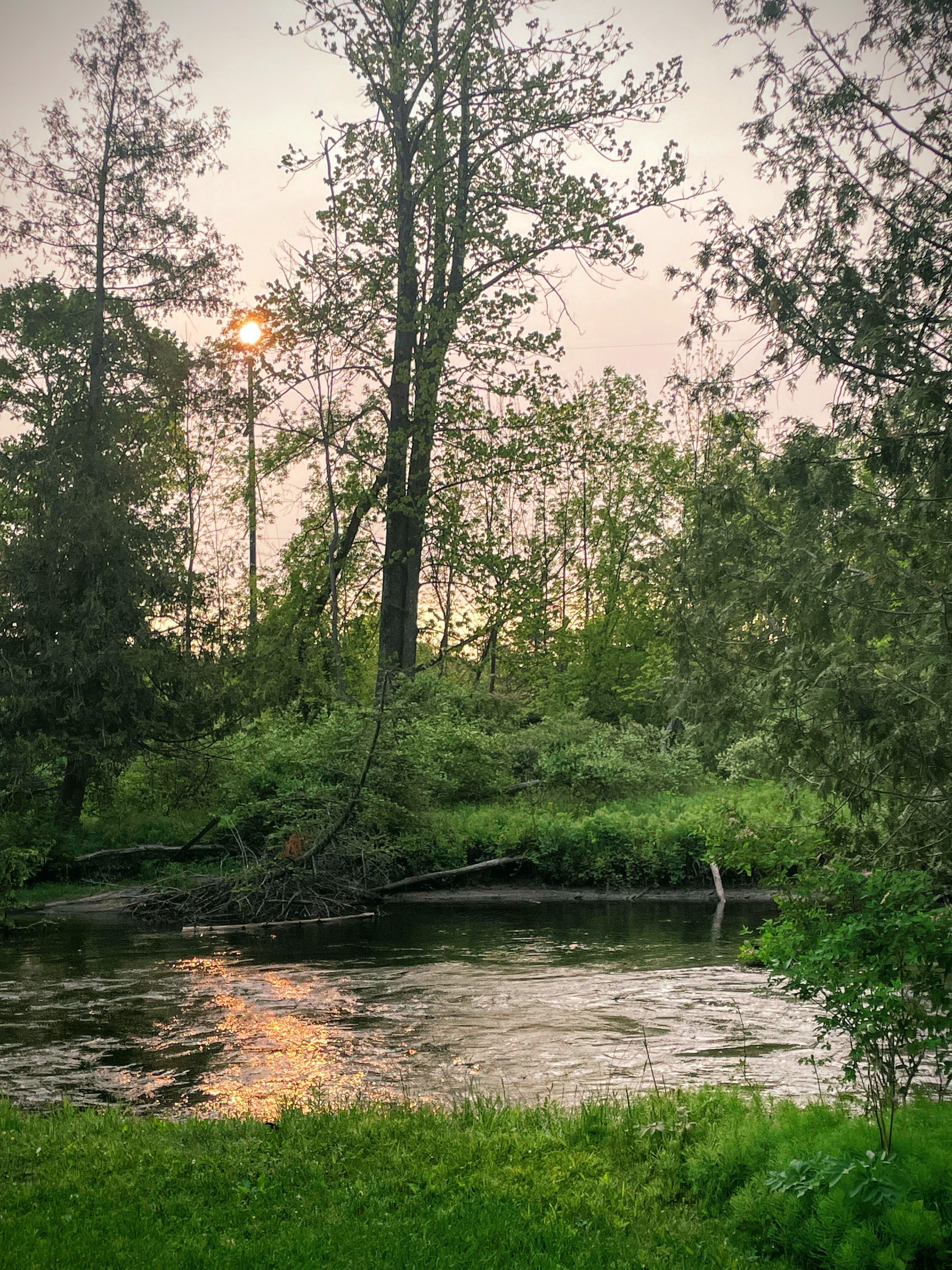 Early Saturday morning view from the back porch at the Lazy Sturgeon