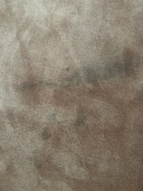 Stained carpets