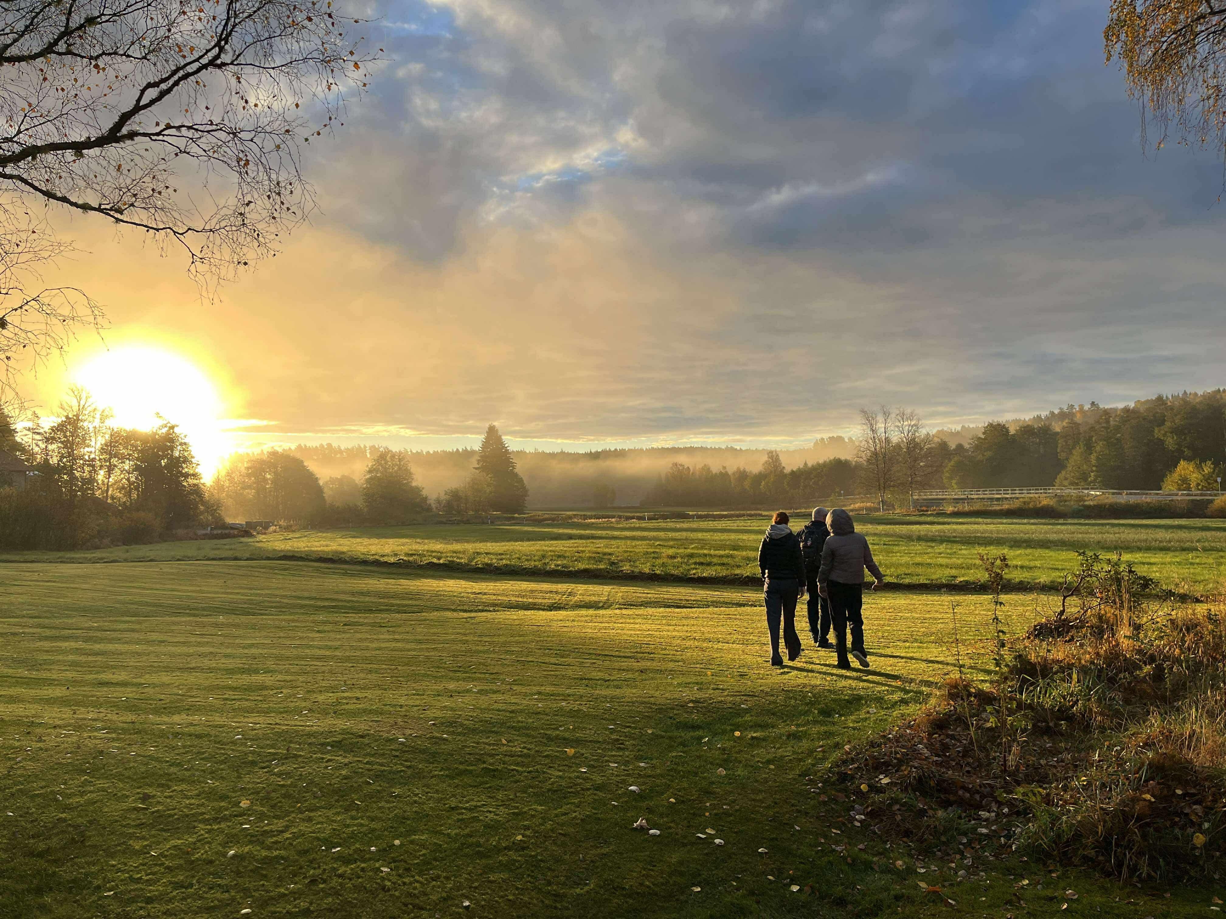 Field next to the house.  