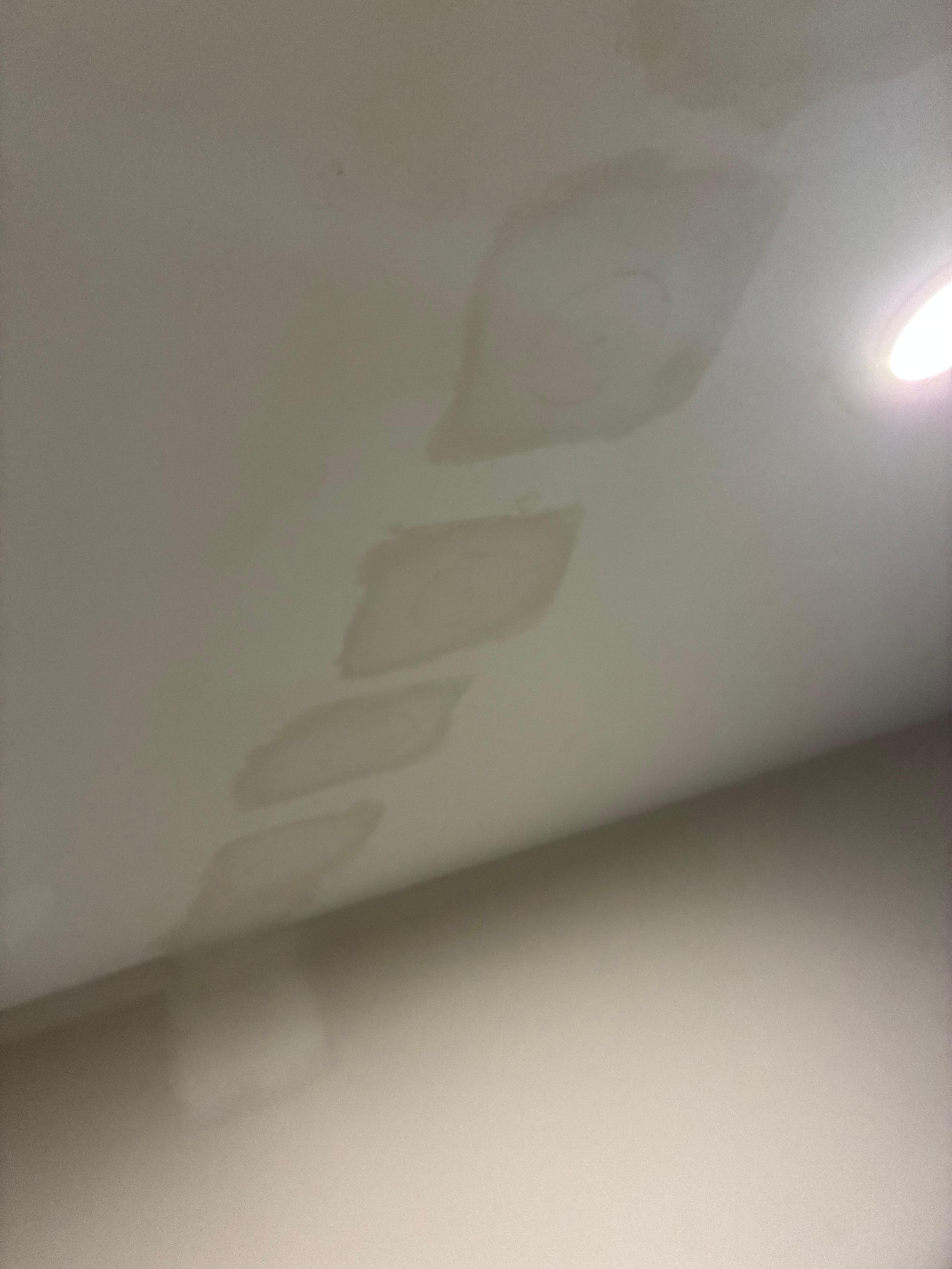 Patched unpainted ceiling