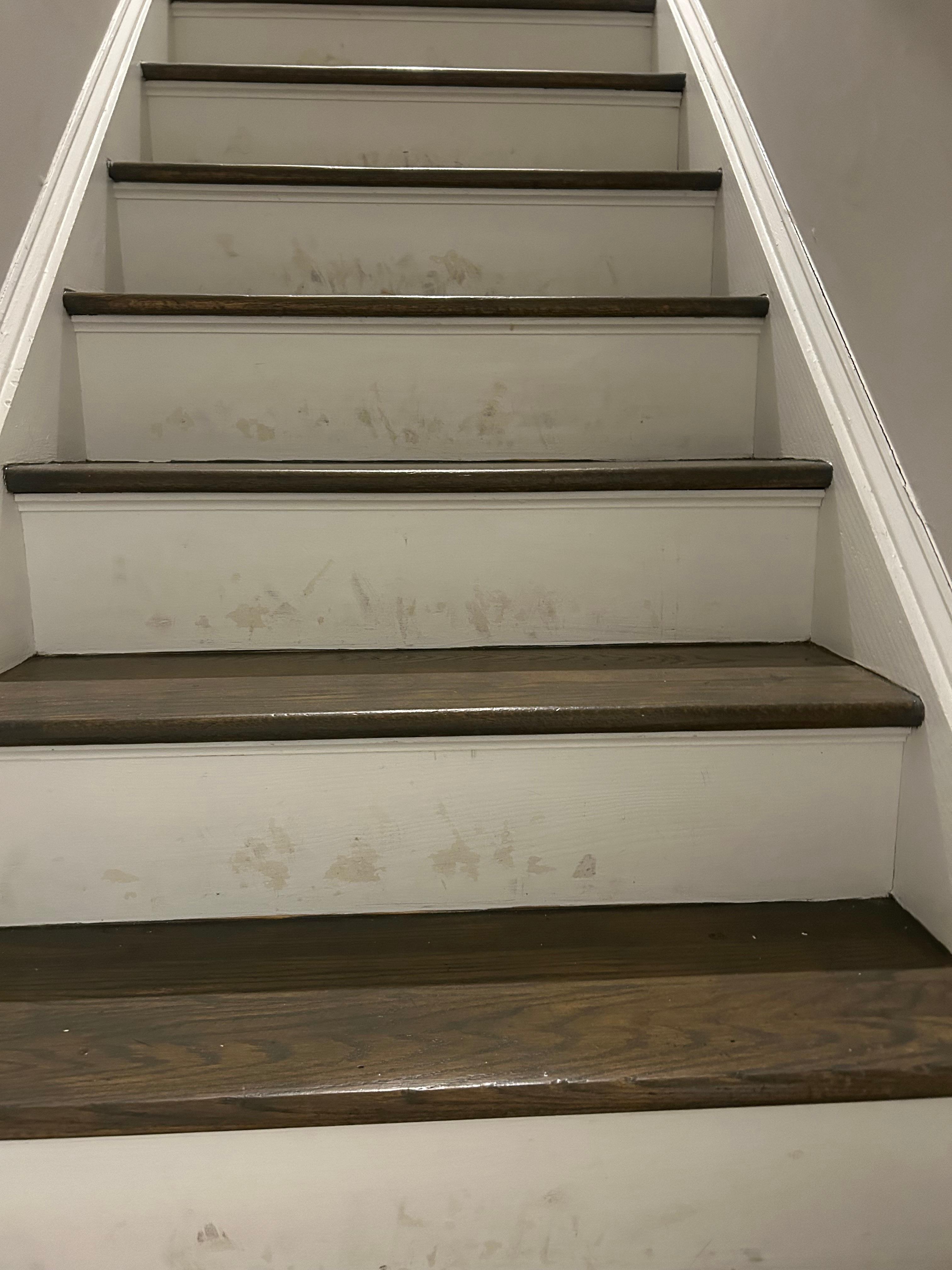 Chipped, scratched paint & wall smudges everywhere.