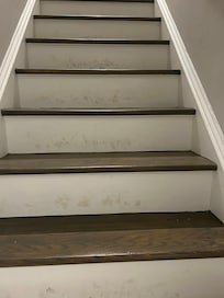 Chipped, scratched paint & wall smudges everywhere.