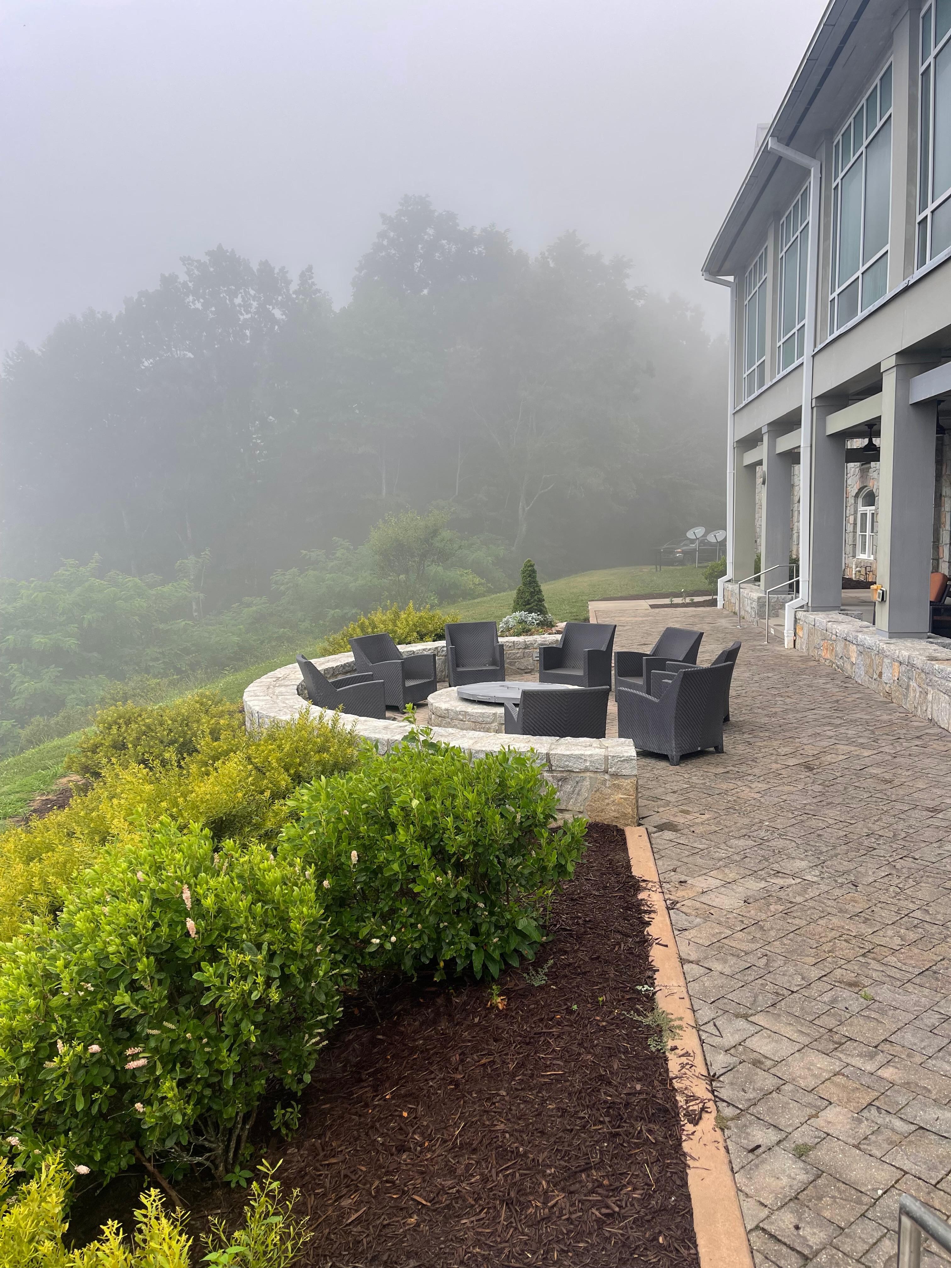Morning fog