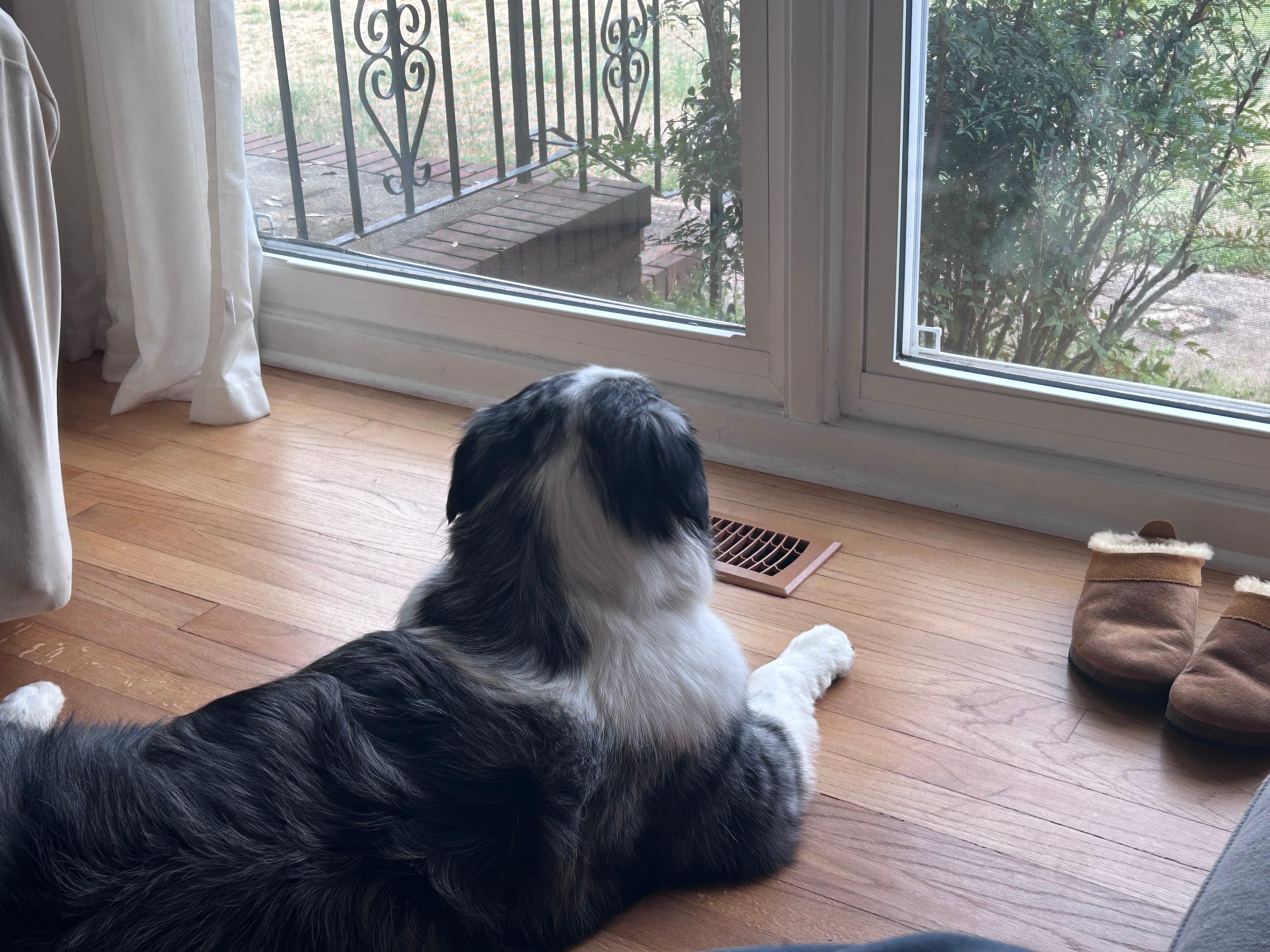 Just checking things out