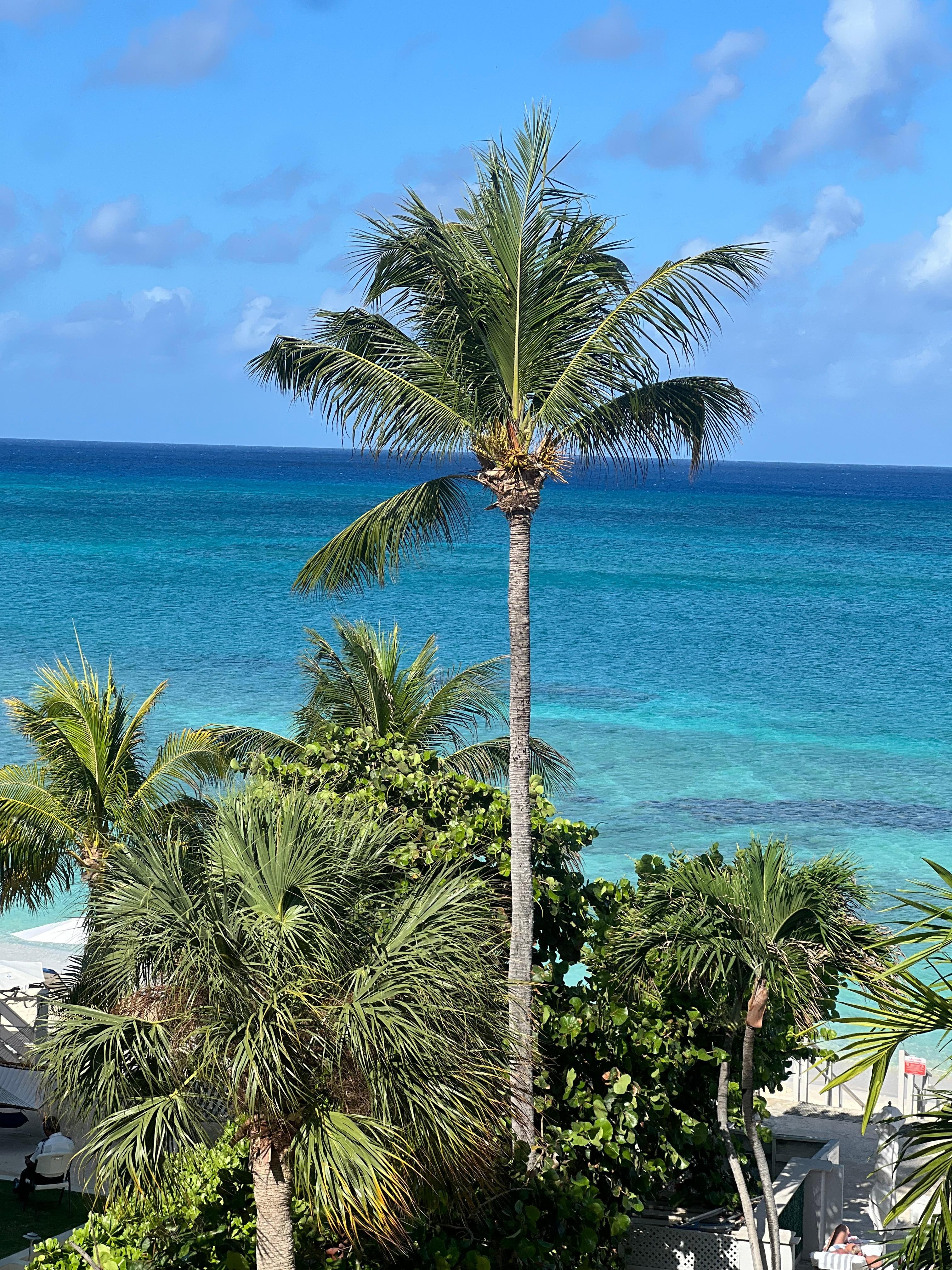 Island view from balcony