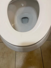 Dirty toilet upon checking in.