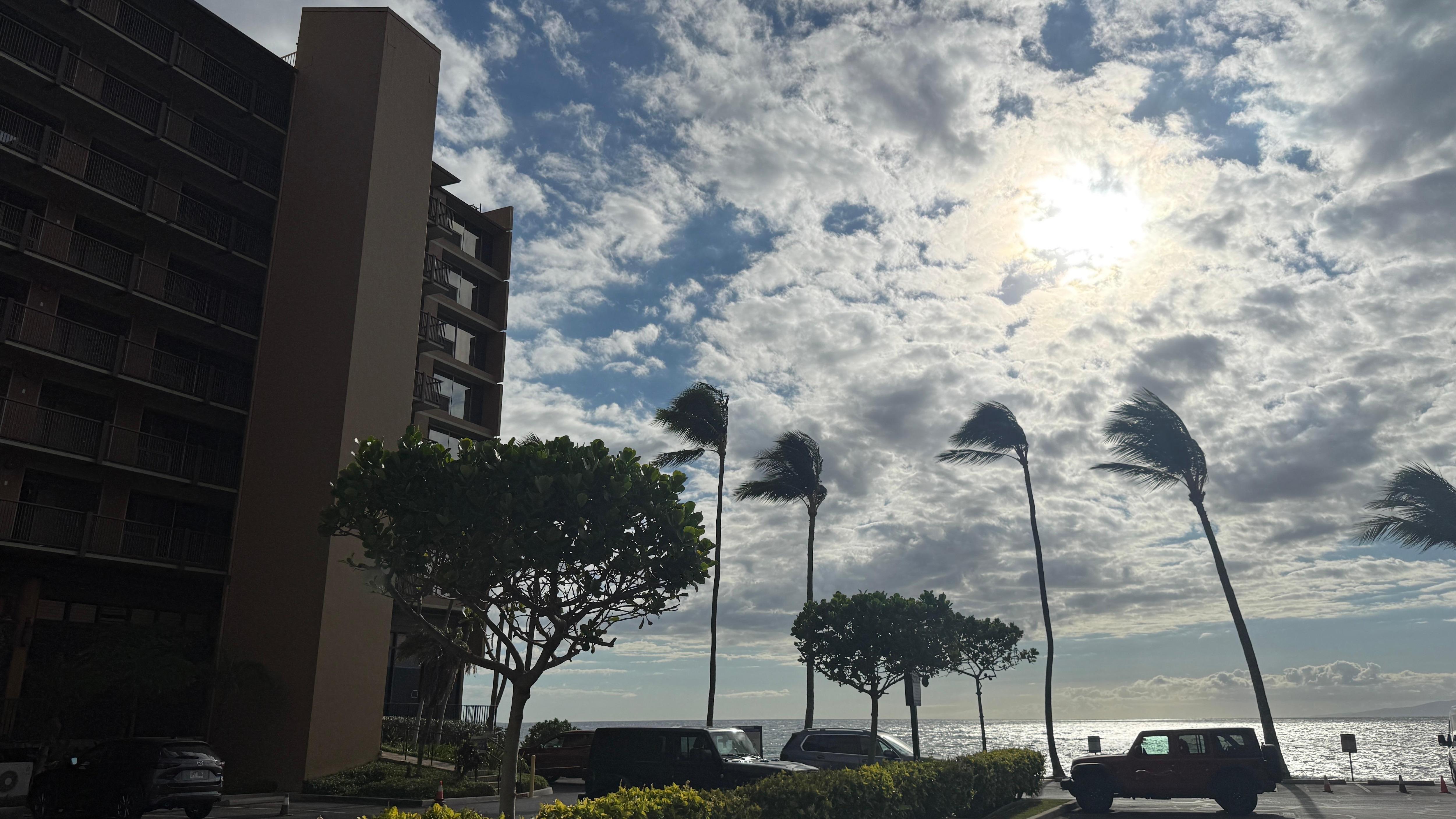 View of the building