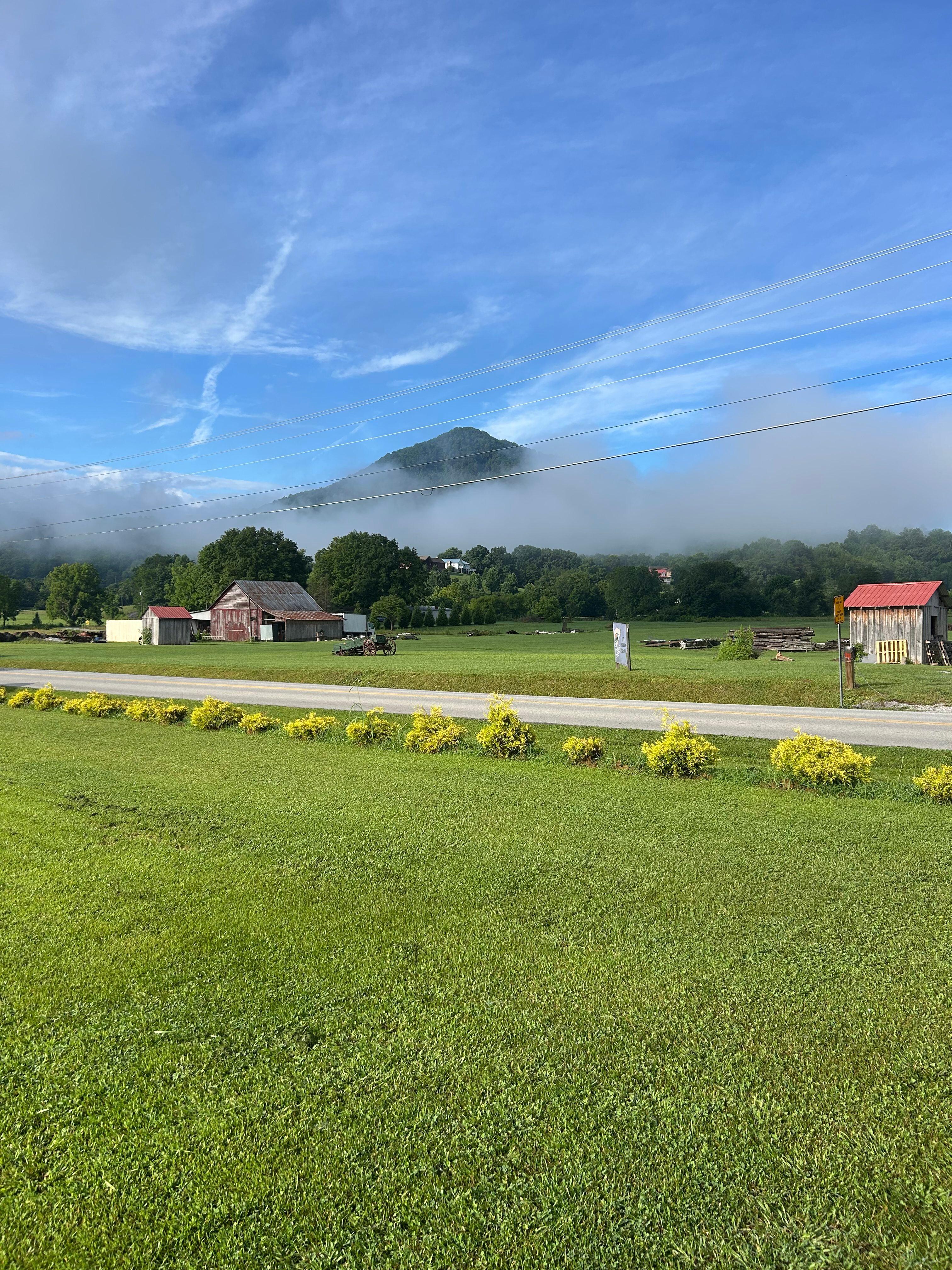 "Smokey" view one morning (from the porch)