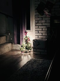 We brought small holiday items to make it cheery