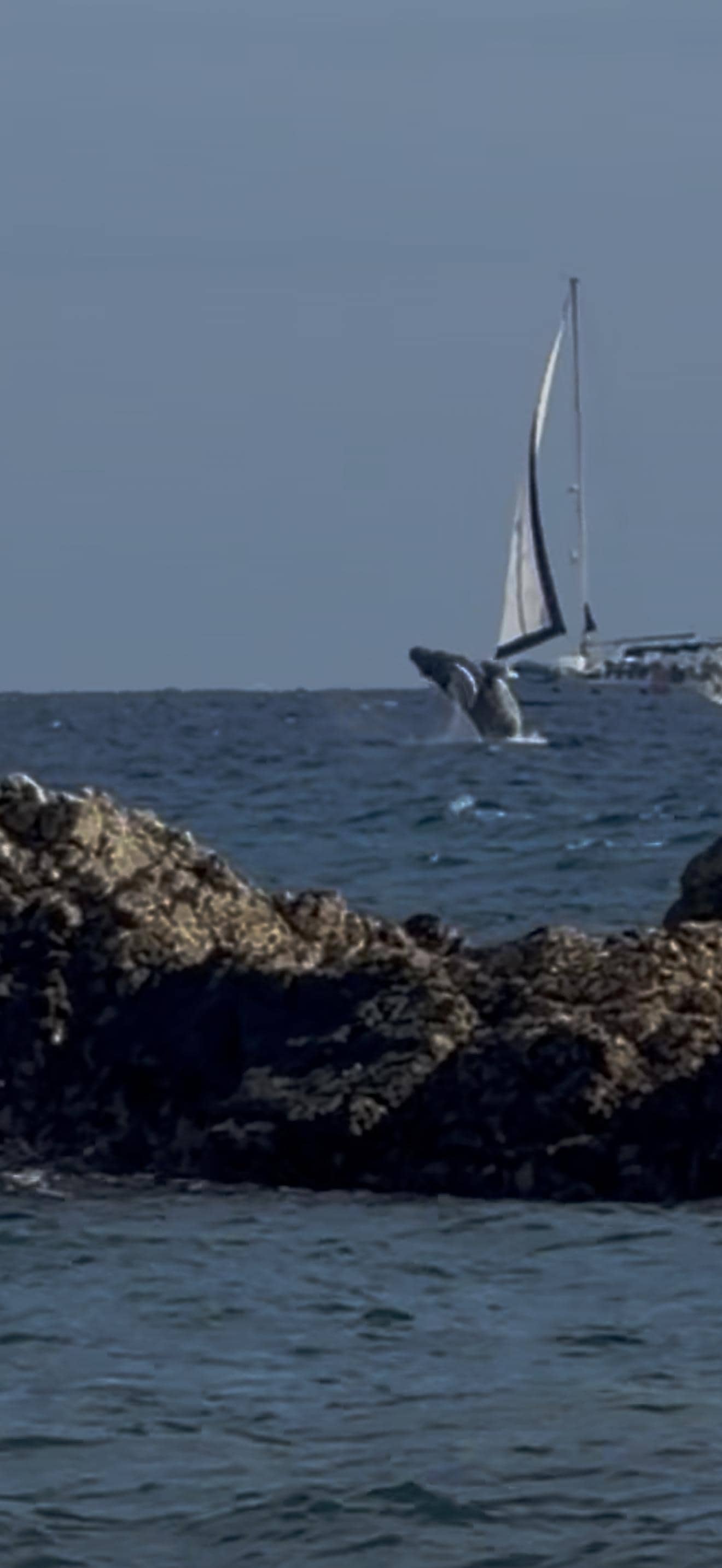 Took this from the beach area!! 