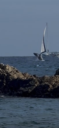 Took this from the beach area!!