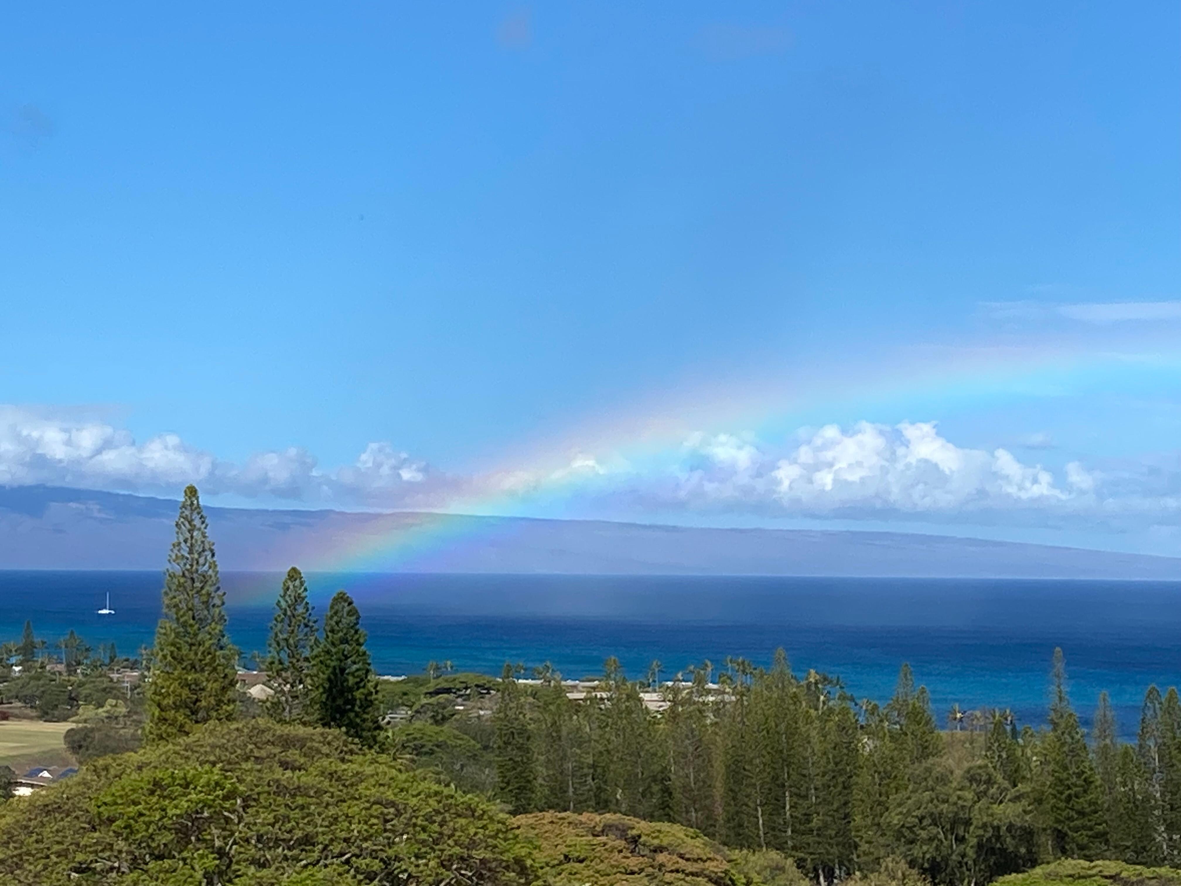 Beautiful rainbow off of back patio