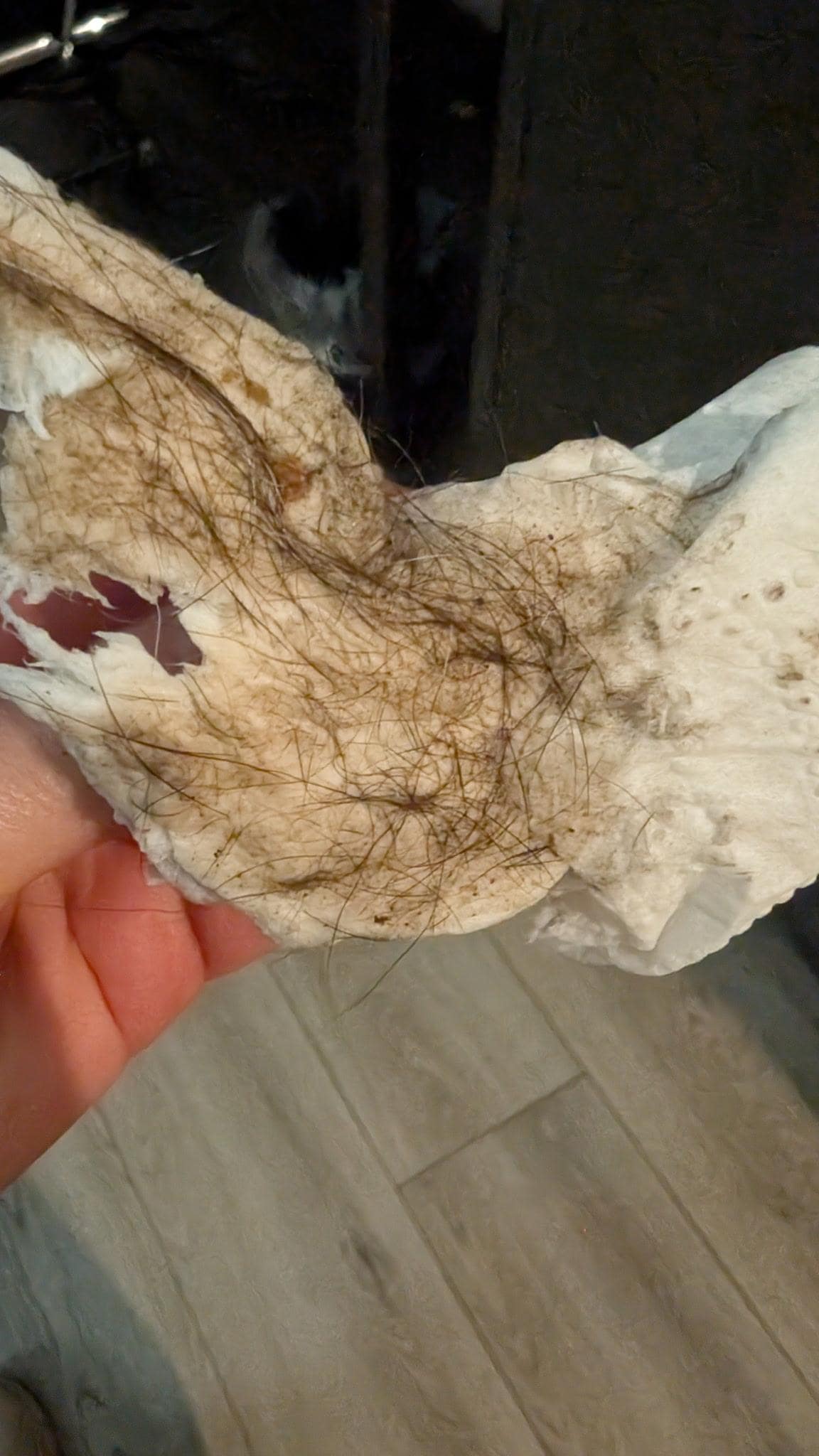 This is from the napkin we used to clean the bathroom floor. 