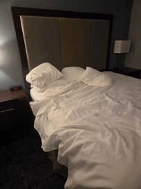 Bed in the room they gave us