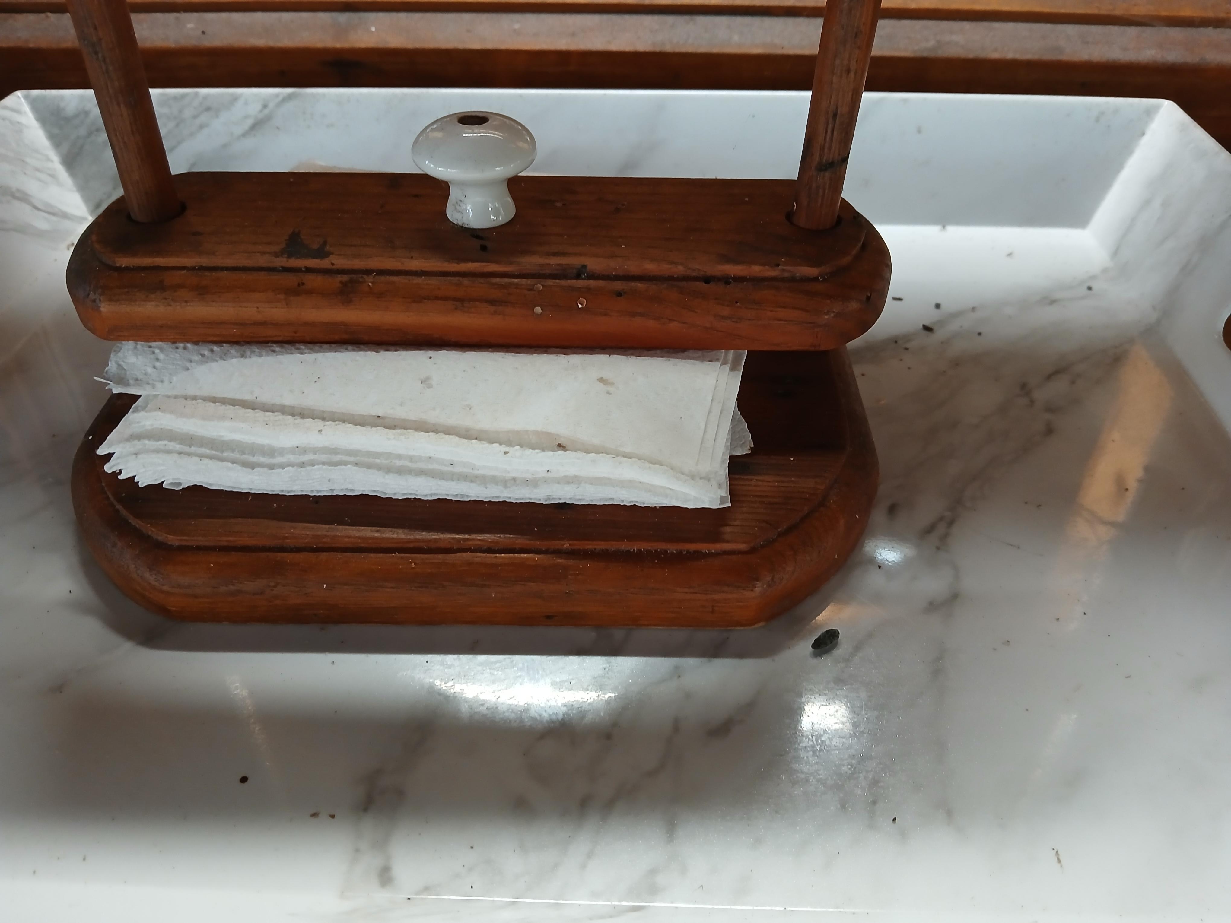 Outdoor cooking area