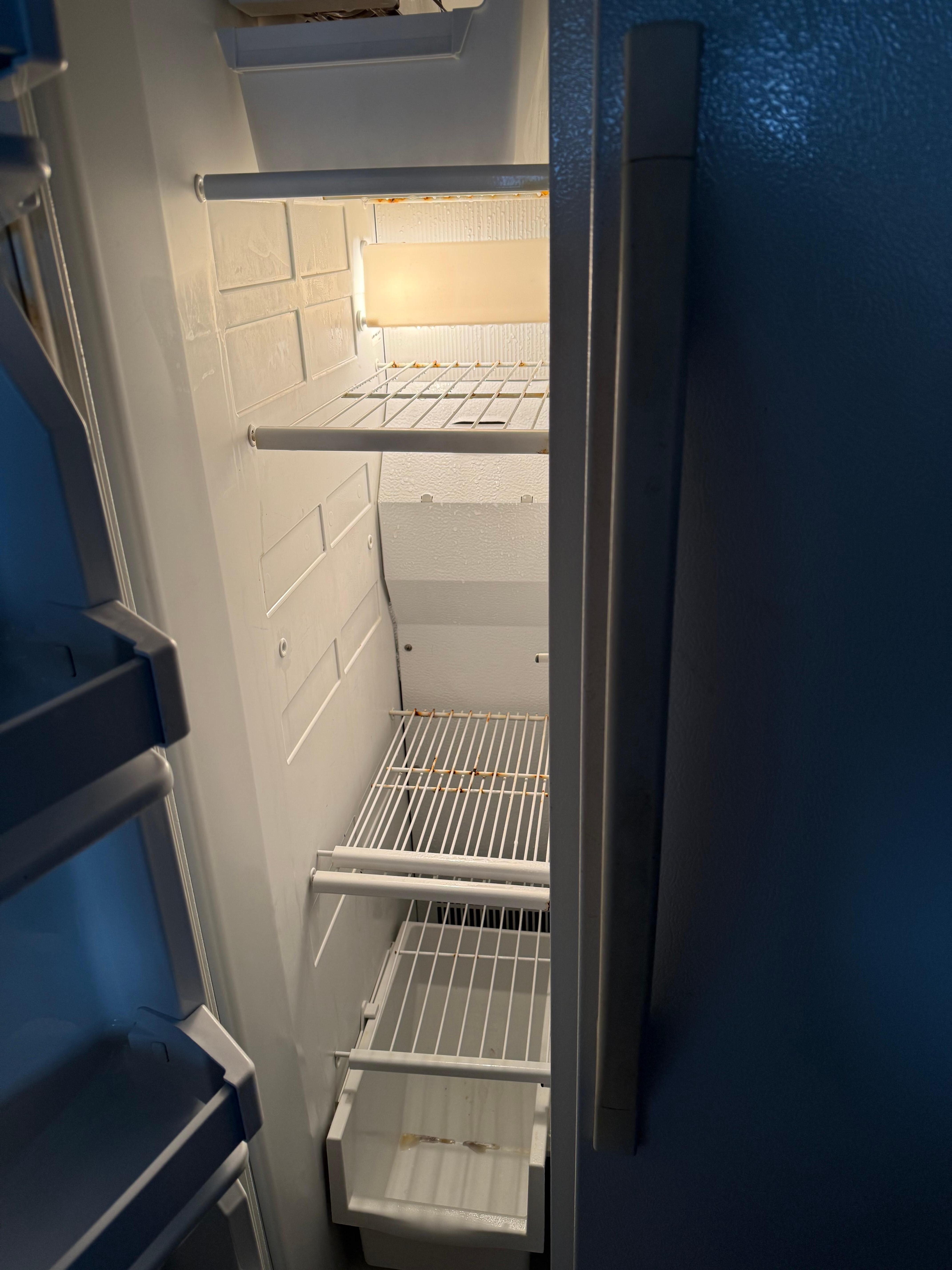 Freezer rusted shelves & ick on the bottom