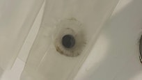 Mold shower