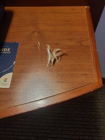 The feathers were coming out of the comforter as it was starting to fall apart and dirty.