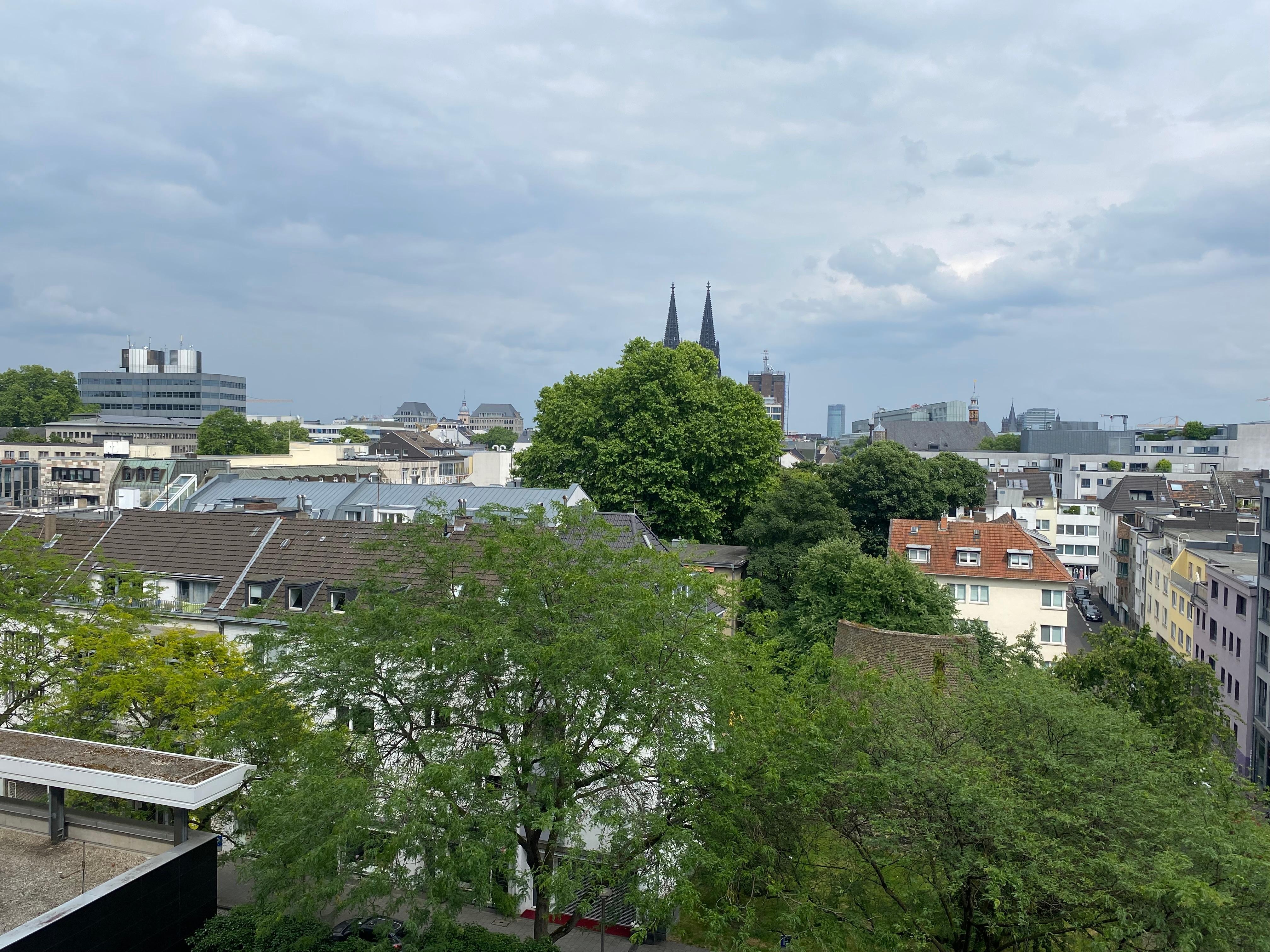Uitzicht op De Dom
