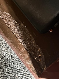 Refrigerator cabinets molded/burned up