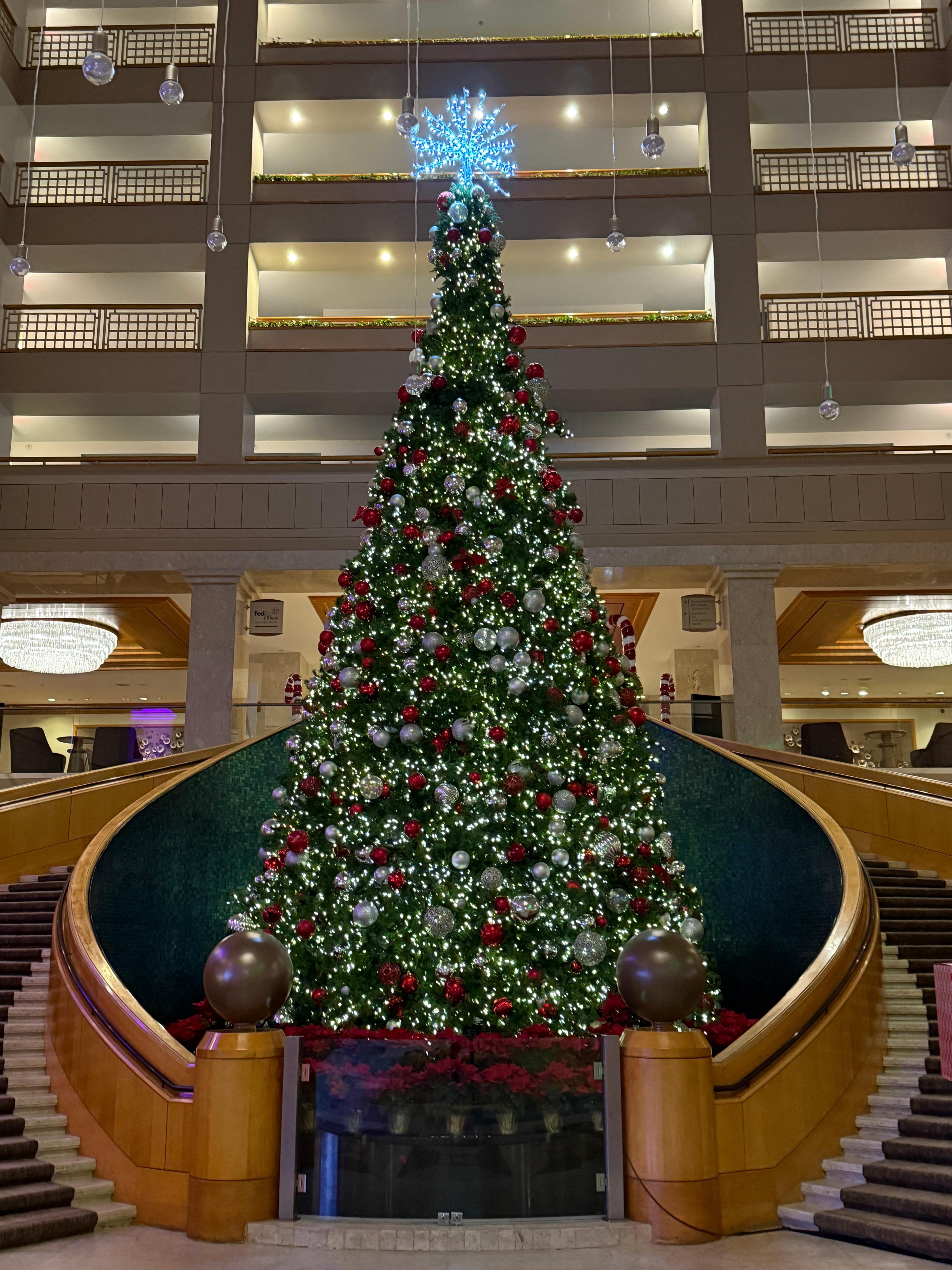 Stunning Christmas tree on the lower level