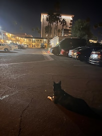 View from the dog area!