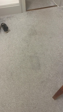 Grubby carpets