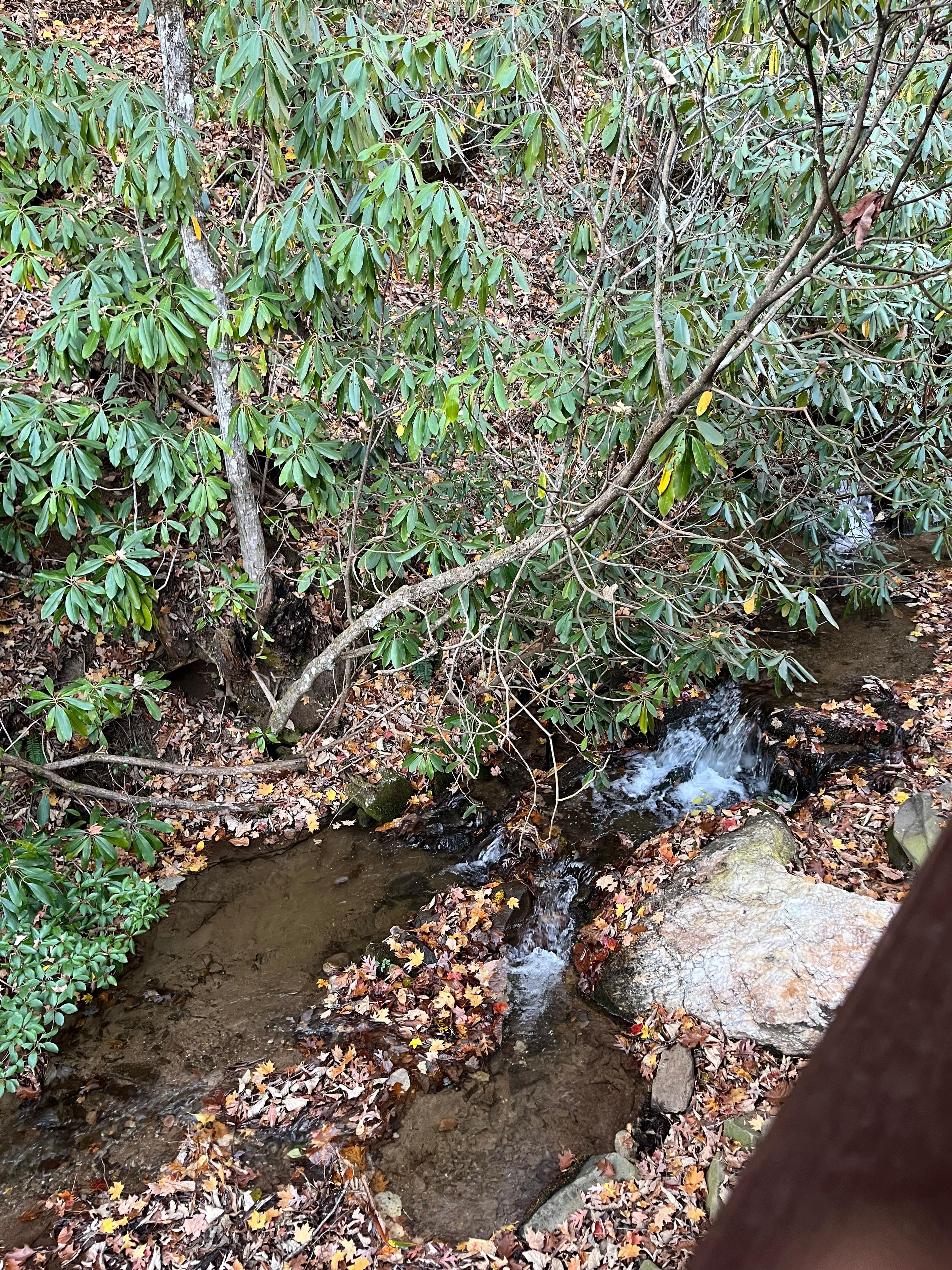 Beautiful creek setting.