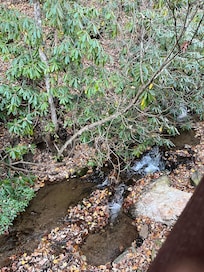 Beautiful creek setting.