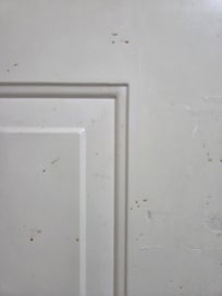 Dried drink spill on wall/door