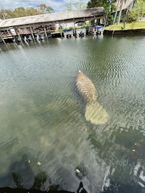 Our daily visitor