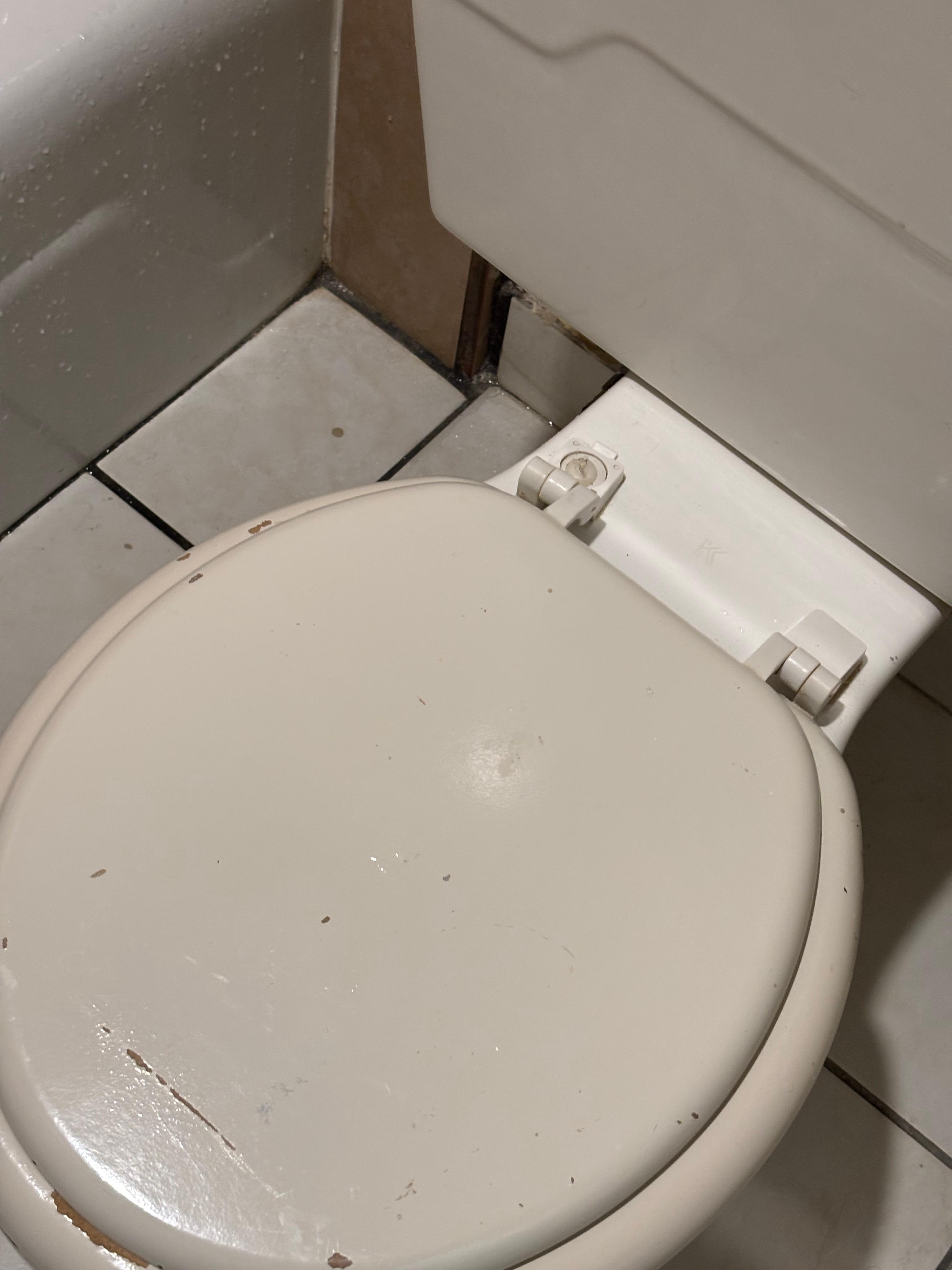 My feedback not to show that I don't like or reporting but I do really hope that you can improve the quality. Thanks.