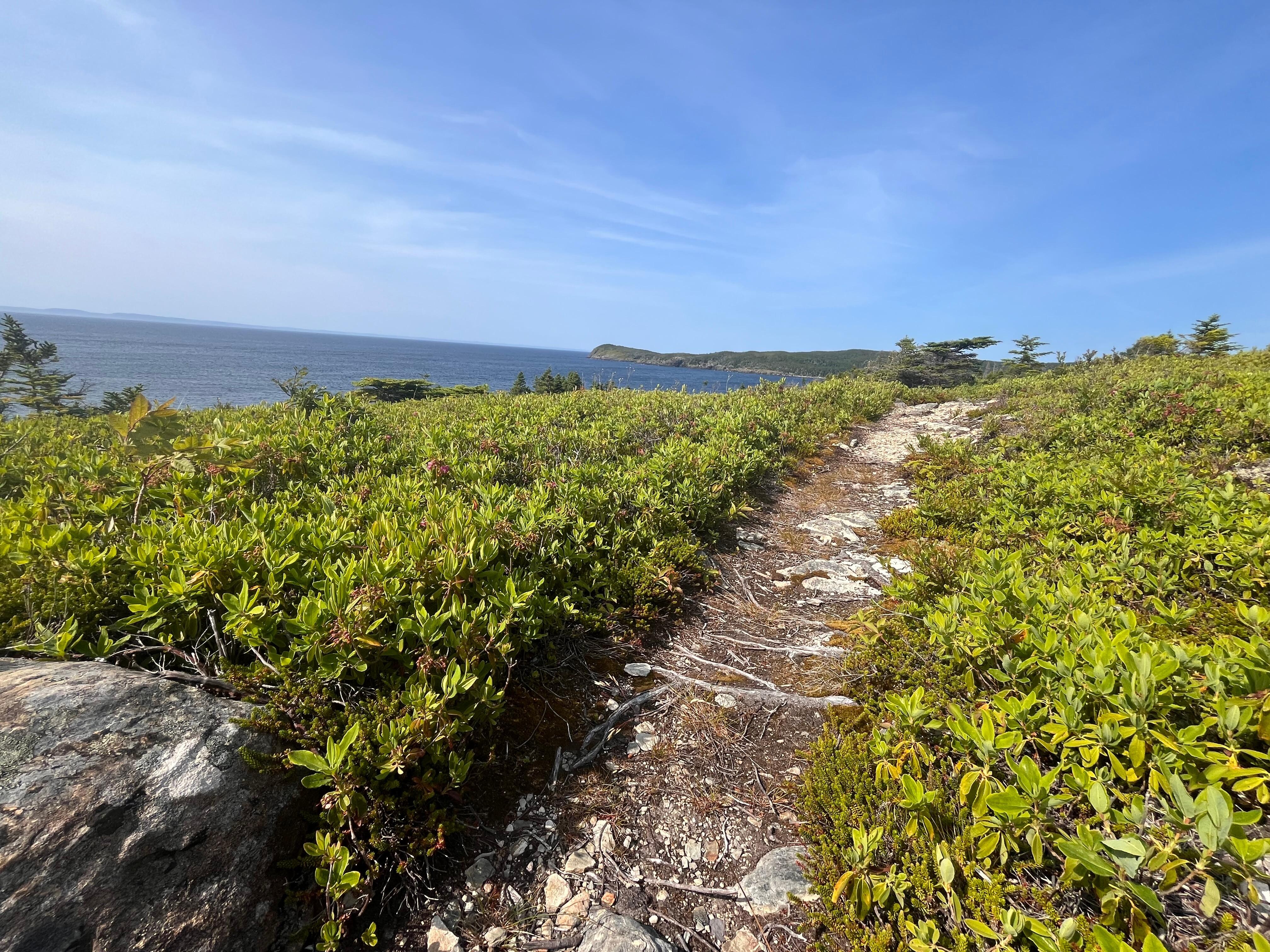 The path to the lookout over Trinity Bay