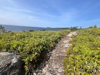 The path to the lookout over Trinity Bay
