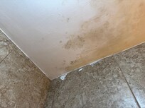 Mold in the shower