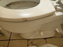 bloody print on the toilet