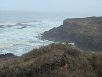 View from the deck!