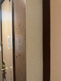 mold on the mirror