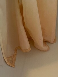 Filthy shower curtain