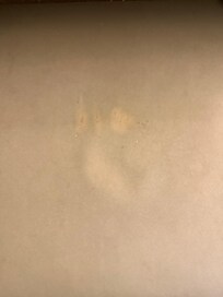 Stains and wear on the ottoman