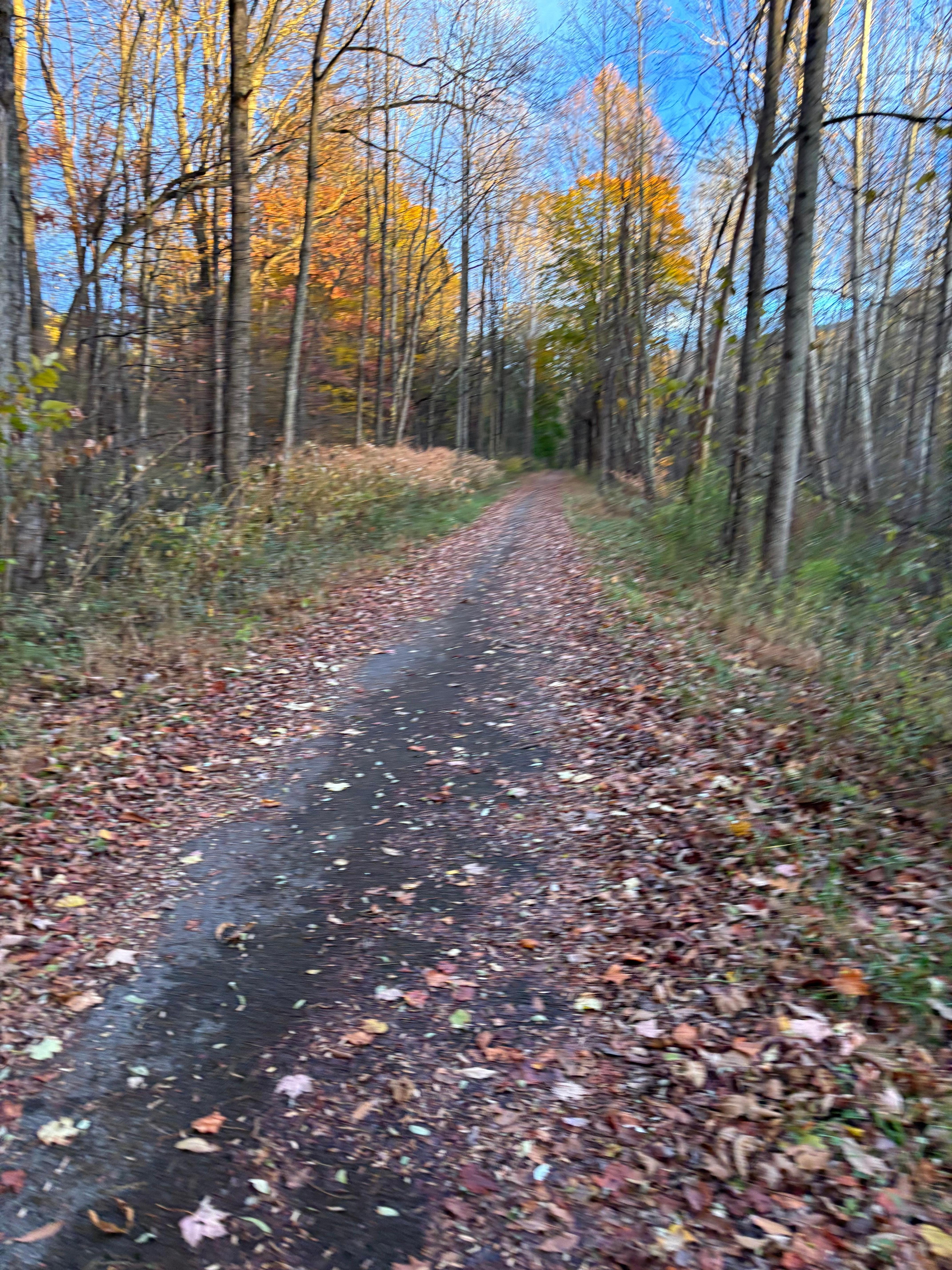 Walking trail right across the road. 