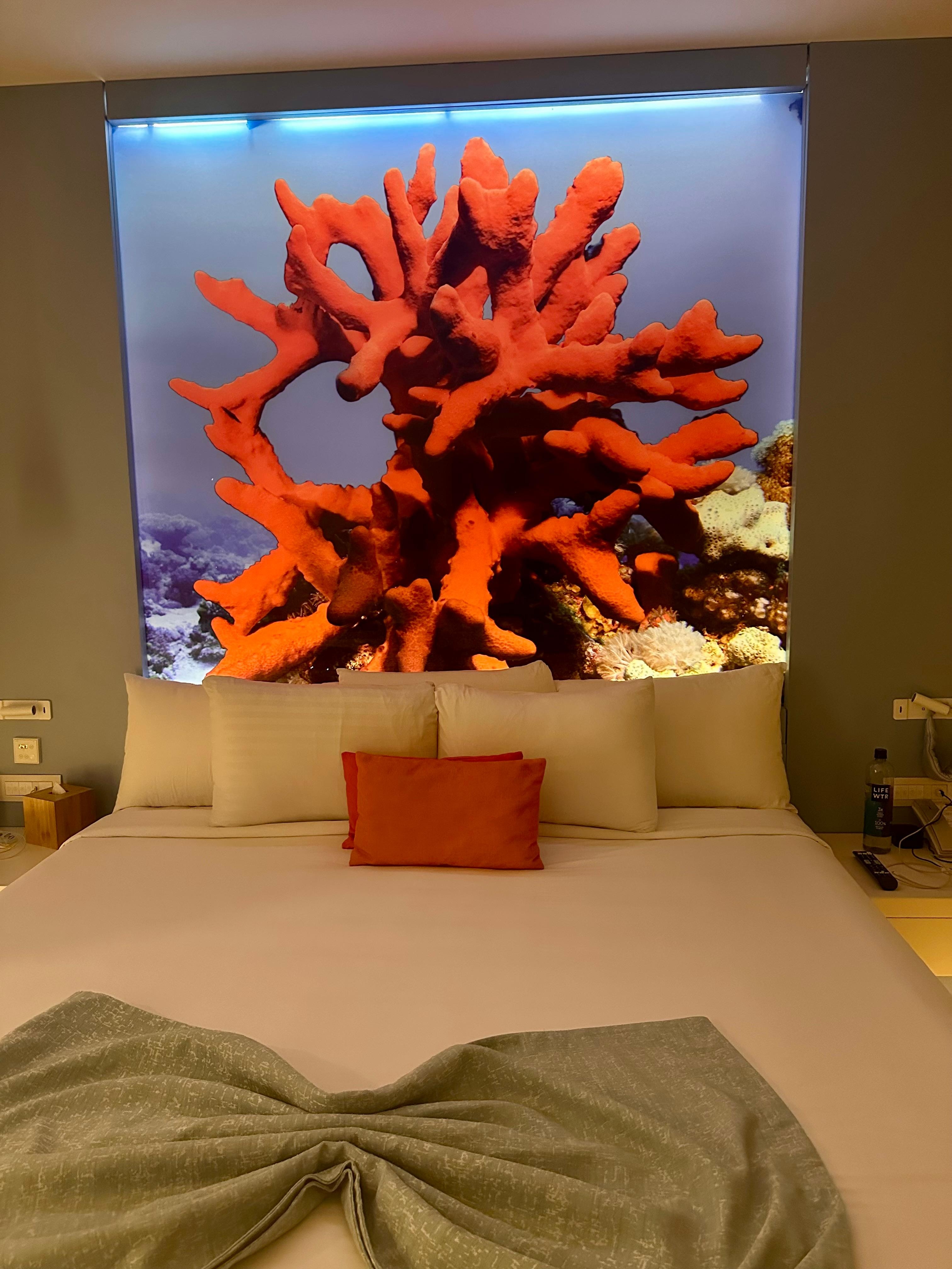 The room was perfect!