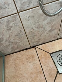 Der Duschboden schimmlig