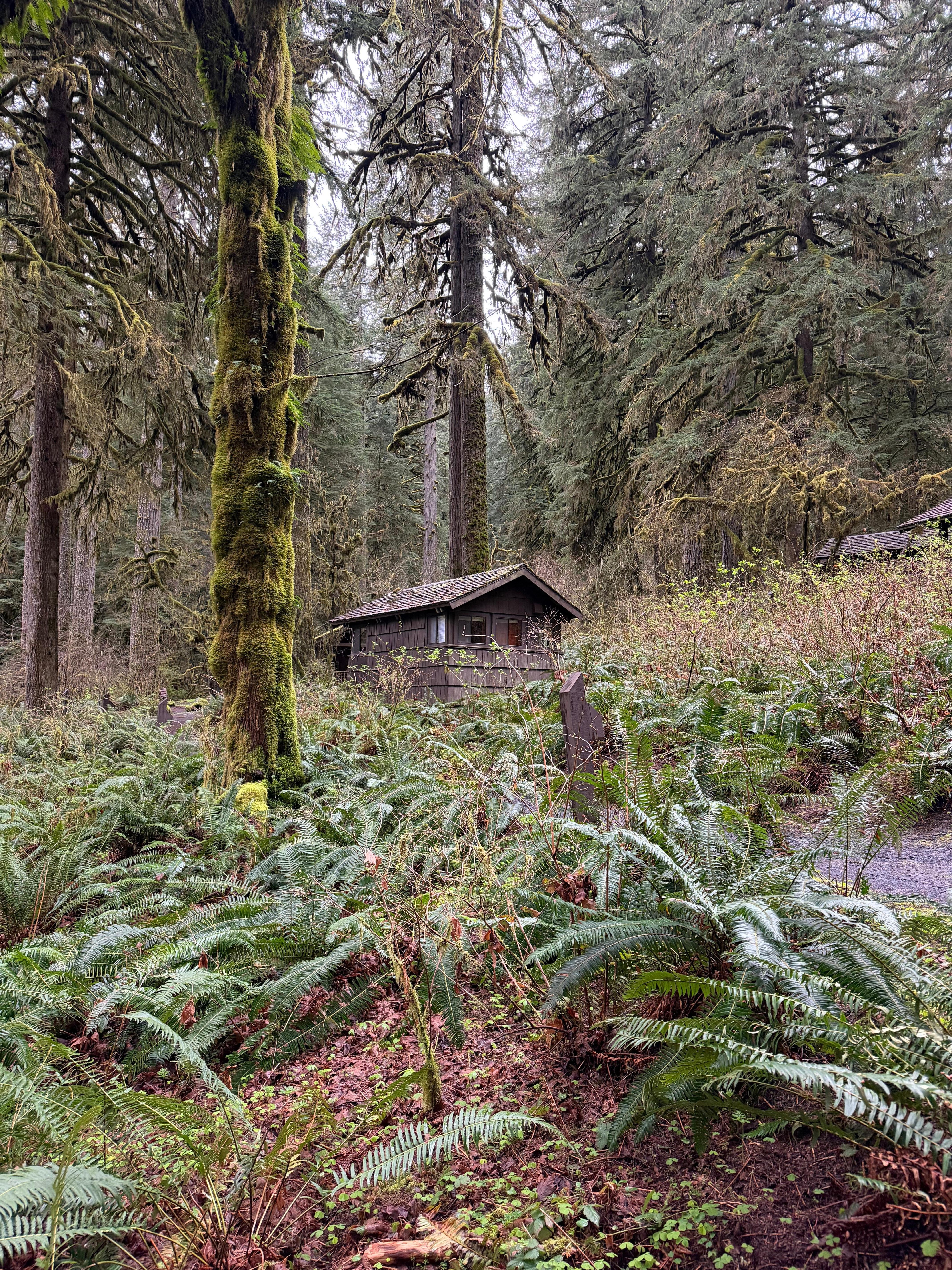 Neighboring tiny cabin 