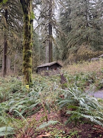 Neighboring tiny cabin