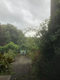 View from French window